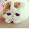 usero8fsbkbt34