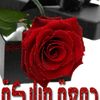 umomar593