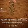 alinnesilva5088