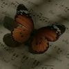 gizlin_____biri