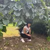 vaniailinova