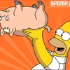 spidercochonqc