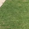 johnthegoat84