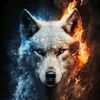 nihad_01414