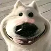 idoltiktokday3
