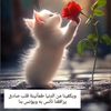 ahmed_elsharawy