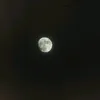 dracula._.badr