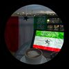 zamia_qurux