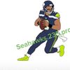 seahawks.235.prodz