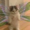 iloveanimals44444