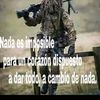 alfredh.a