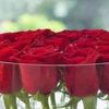 norh_656