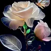 user4mh68rit4f
