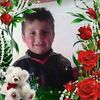 nisaradil8