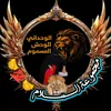 layali_a556