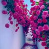 user2119855466660