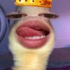 febbyzz3