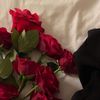 f_almalki.80