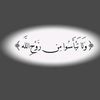 x_nox5