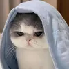 quan_210103