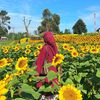 fitri_sn01