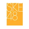 SKE48 チームE official