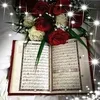 user096819530
