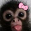 kathleenmccabe_