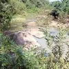 quanghiep85