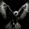 ibrahim_sirinov_511