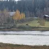 malkani_94
