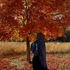 islam60601