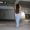 ash_1098_