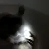 rizlcndra