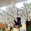 trinhmiuu7
