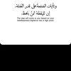 nourh_72