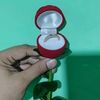 rianitalaila