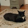 eddie020704