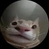nikkmakashito
