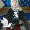 alamiaziz508