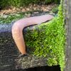 smokeahauntus