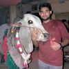 91abdulrehman