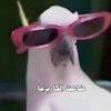 salmaaa_hany