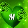 maimonalhawsawi