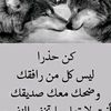 0558677656should_23y