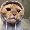 noura965_