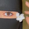 nourkhalid599