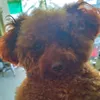 le_tuyen2_2