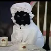 tiktok_addict1