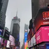 alicemsx19